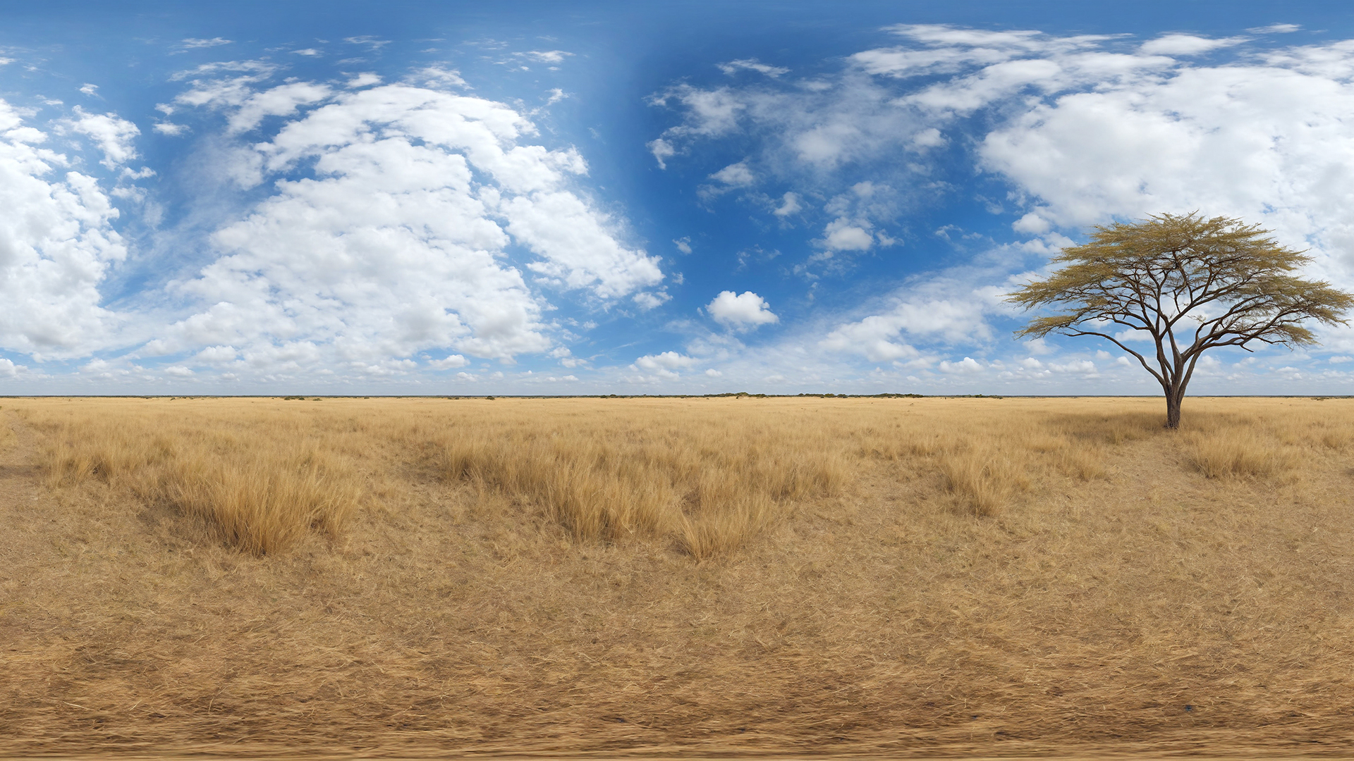 HDRI Savanna Panoramas