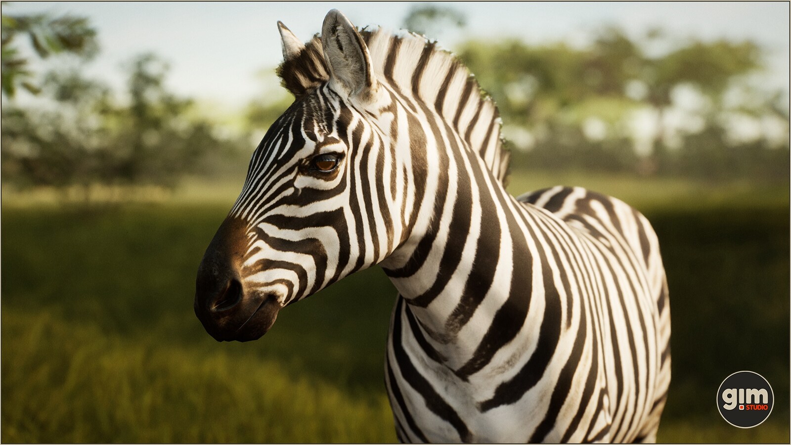 animalia - zebra m