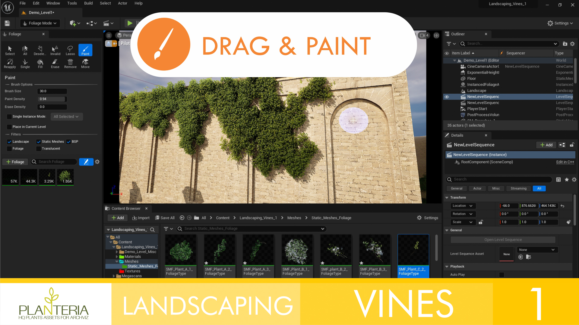 Landscaping Vines 1