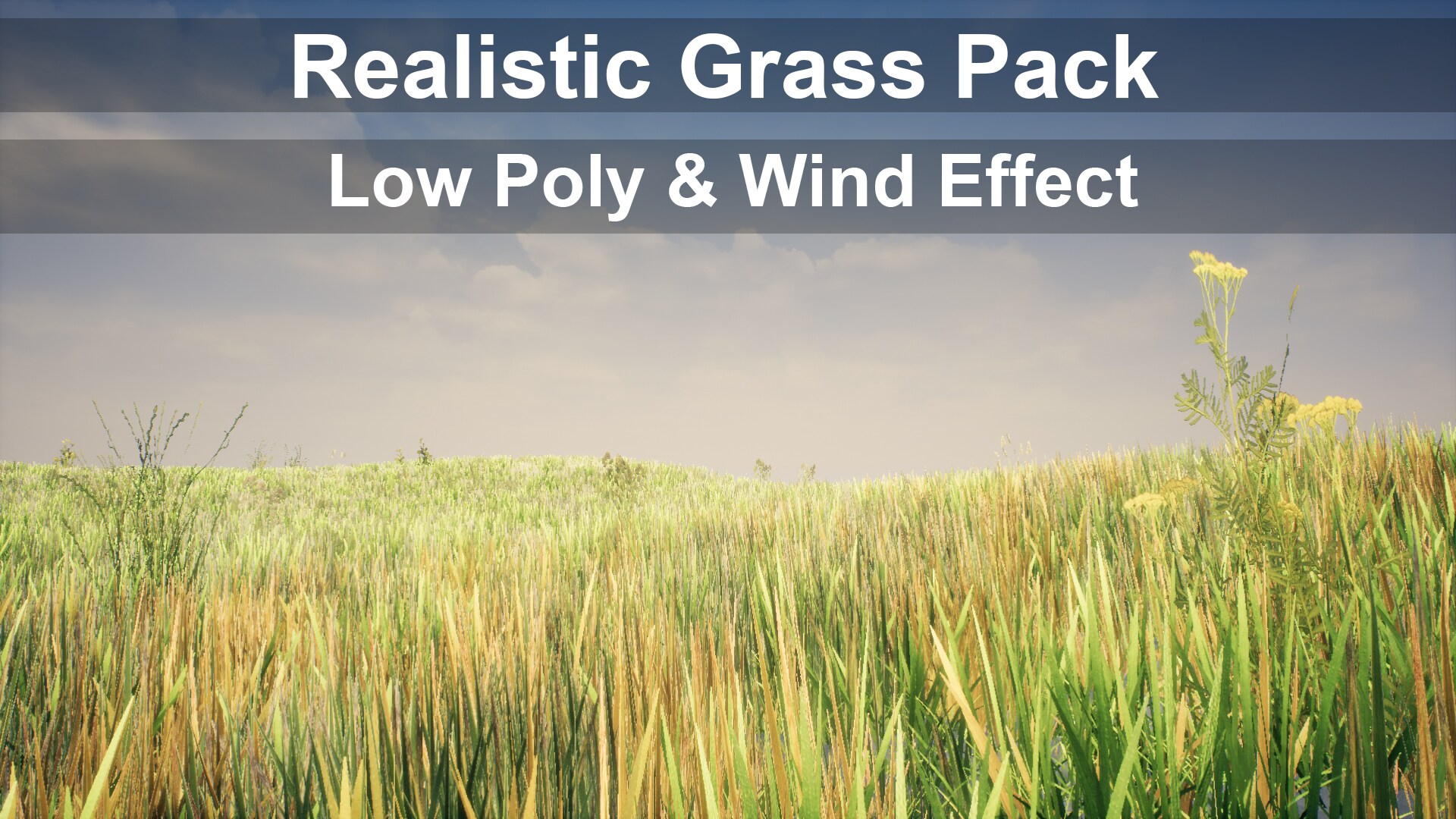 Low Poly Realistic Grass Pack