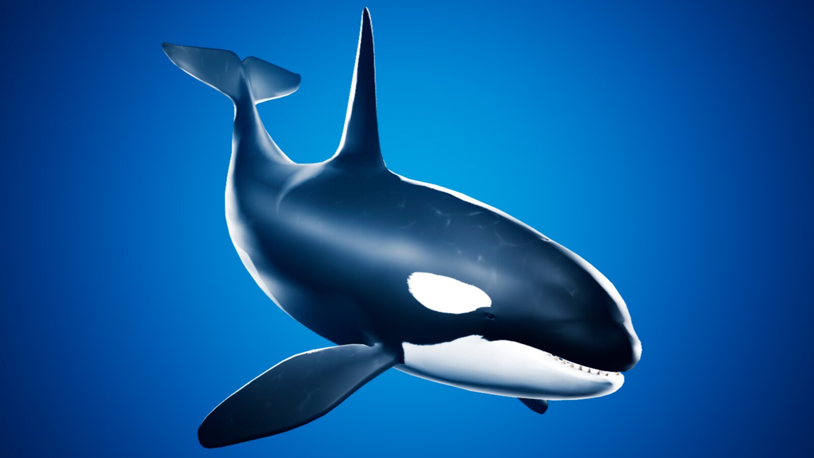 ocean animals pack vol.