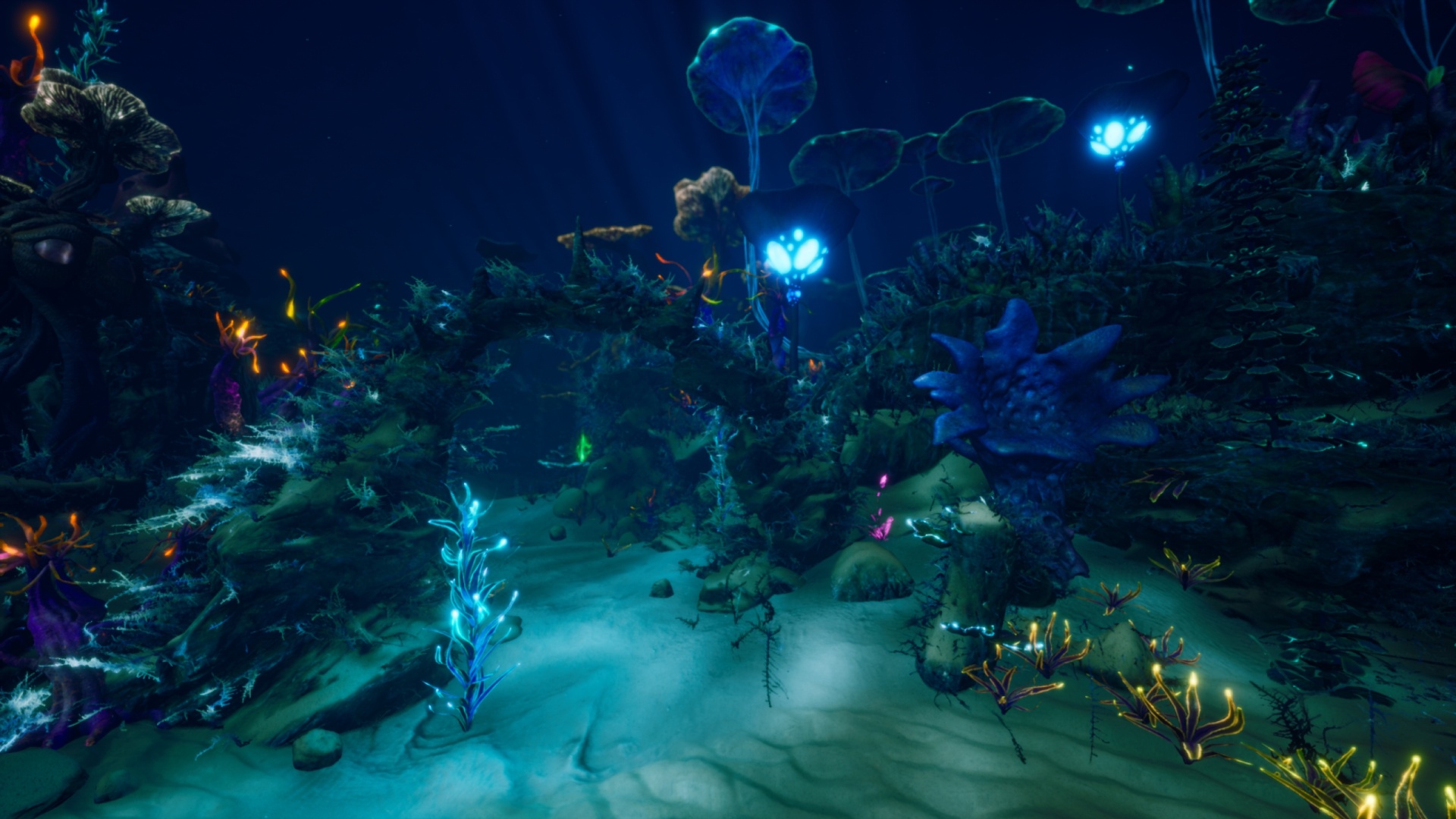 Alien Ocean Environment - Fantasy Planet