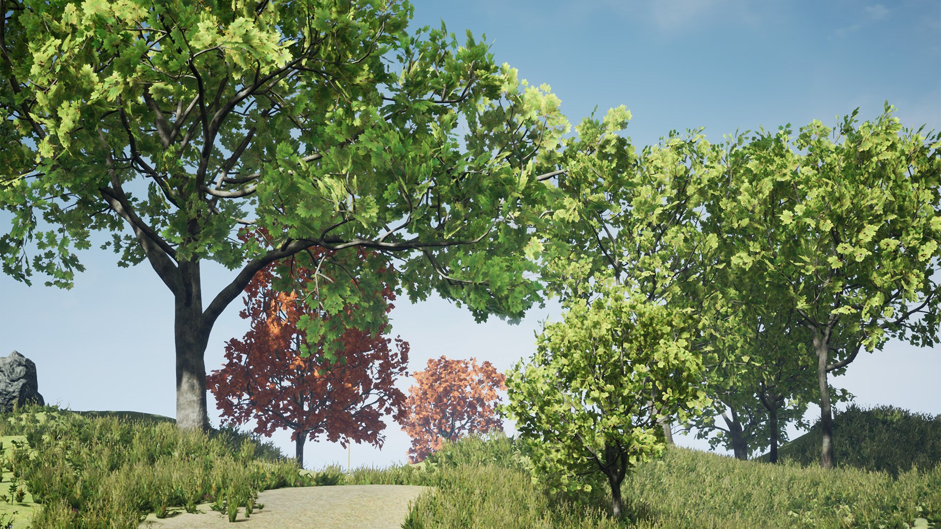 Tree Pack (Assorted Maple Trees)