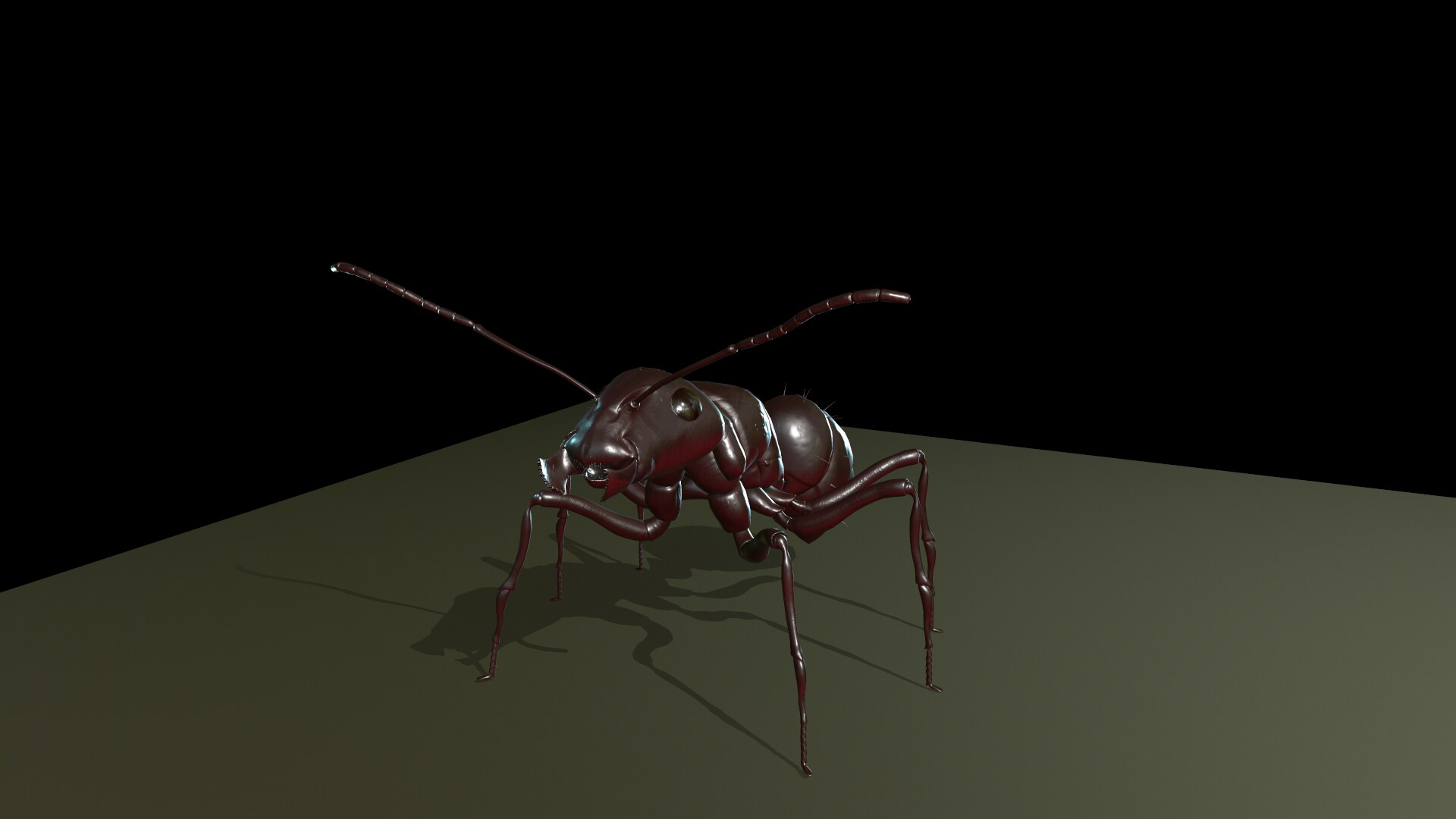 Worker_Ant