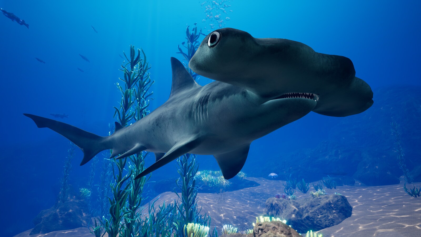 shark%20closeuopb-1920x1080-f0ba54f405a27865aac69a93c7ababdf.jpg