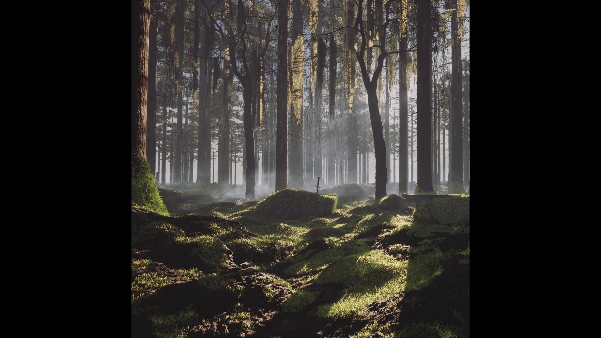 Realistic Moss Foliage Plants Pack with Foggy Meadow Forest Environment & Sword