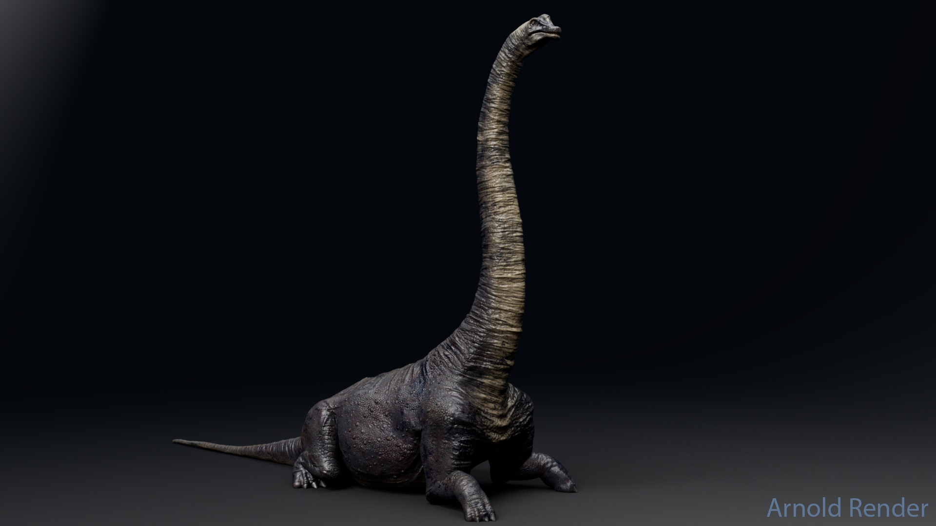 Brachiosaurus Sauropod