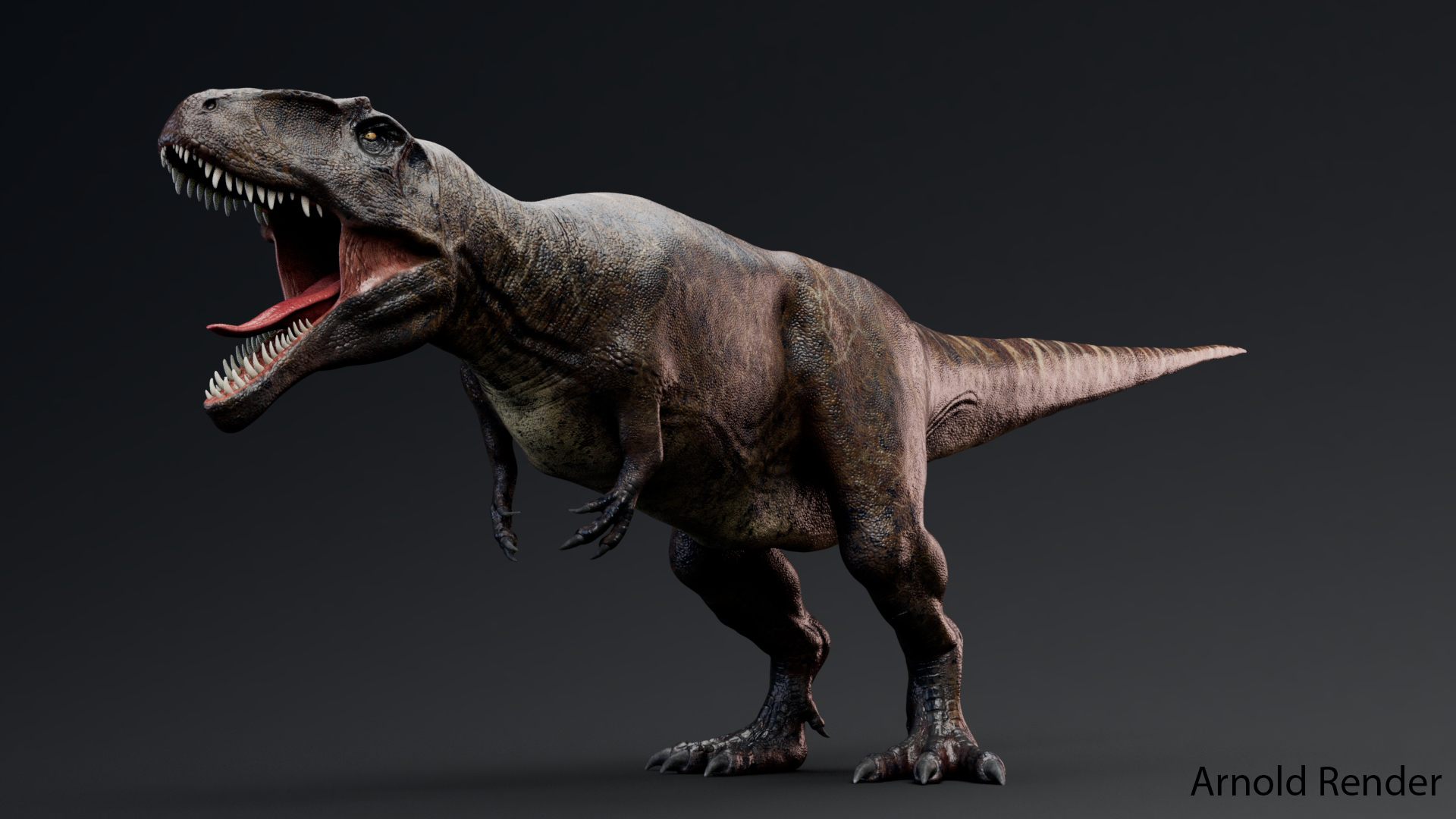 Giganotosaurus