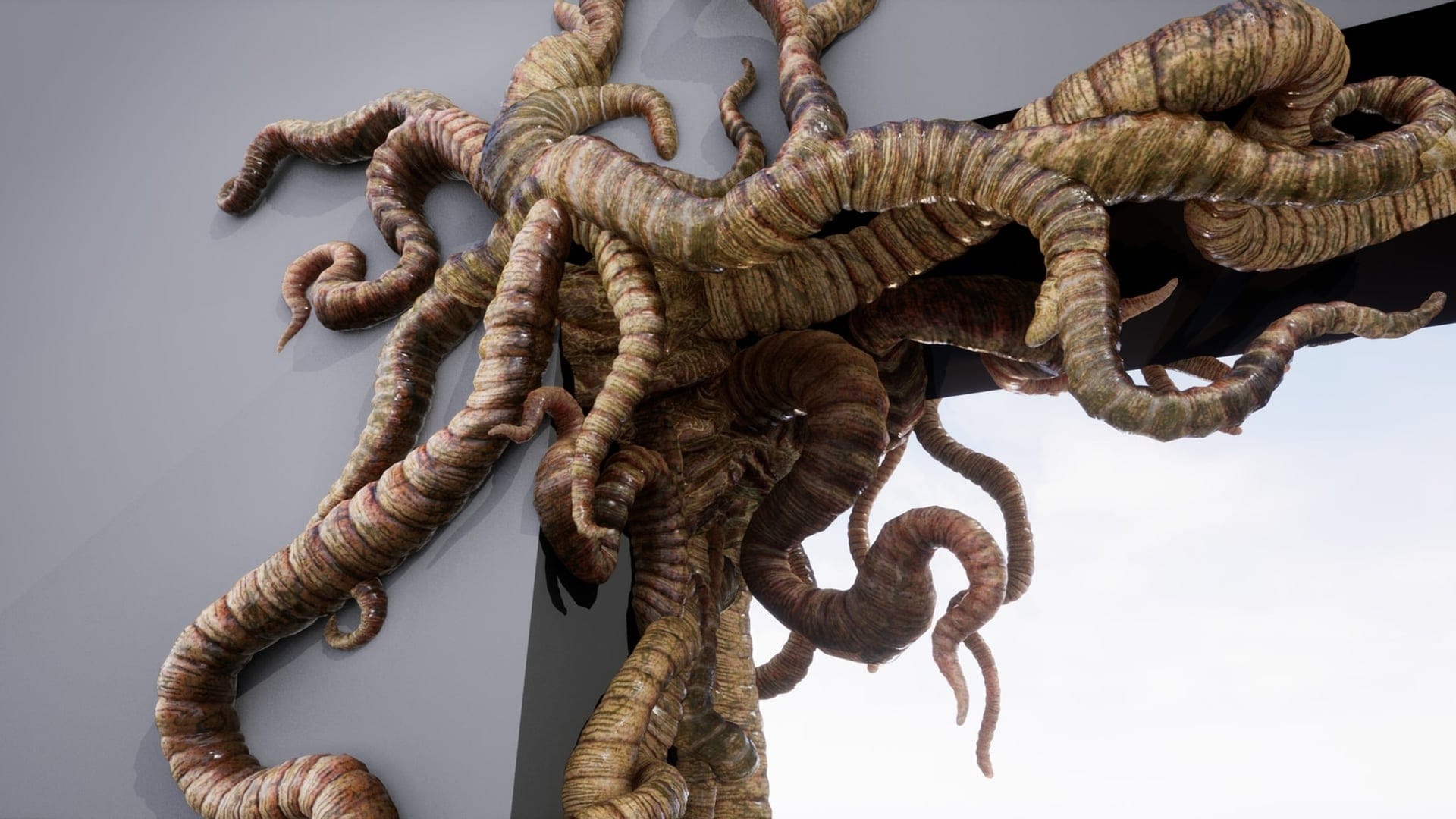 tendrils%2015-1920x1080-e0df24a8135ff72095264f50111636c6.jpg