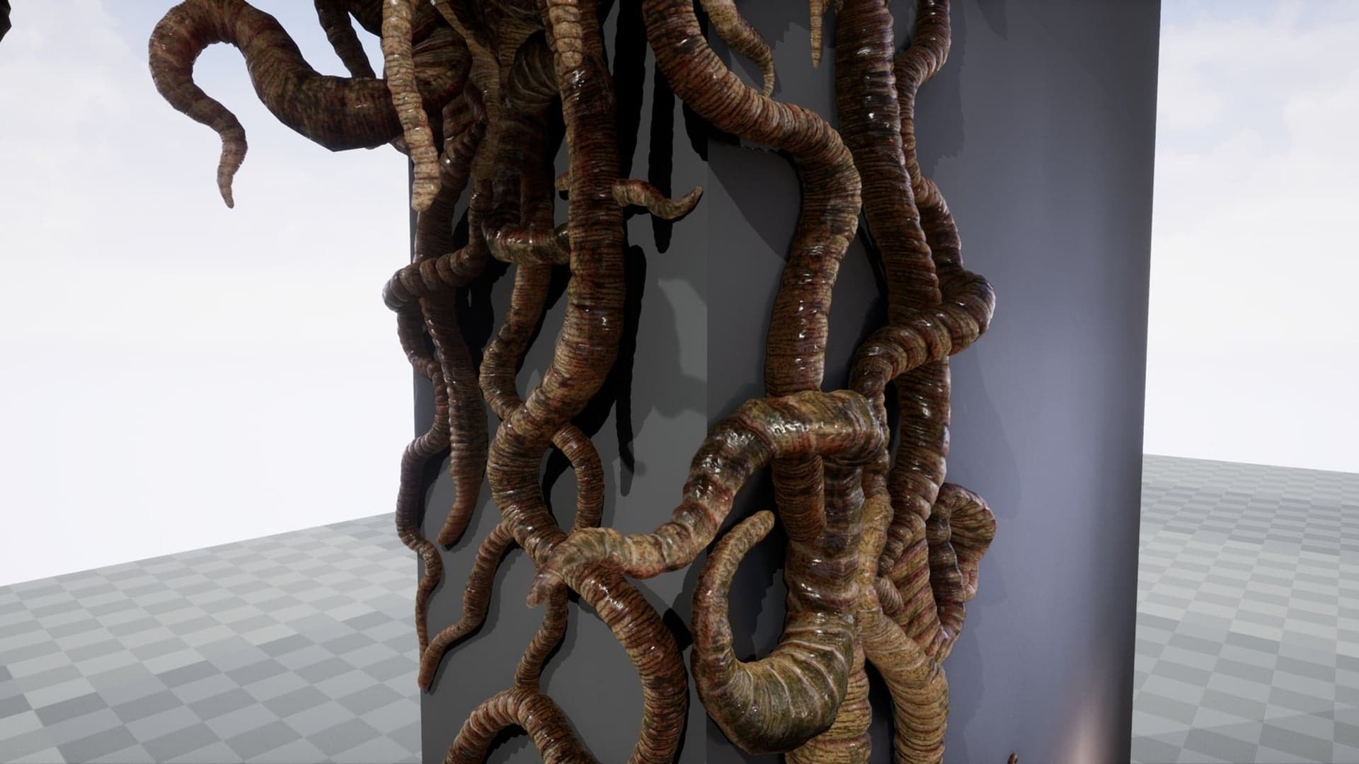 tendrils%2017-1920x1080-4aa574e83aa9ce052a1d5d9318a3ff37.jpg