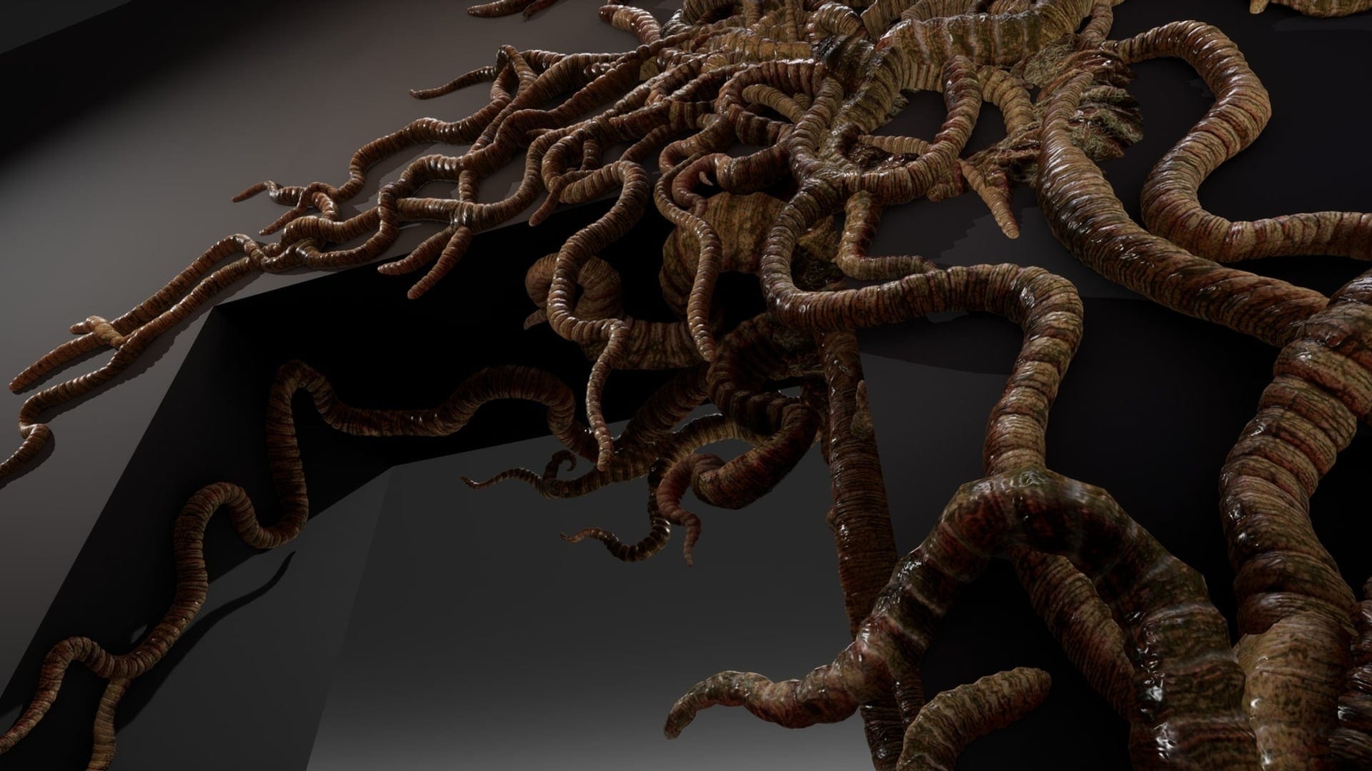 tendrils%2020-1920x1080-85838326f62fca6595115813b8490ea5.jpg