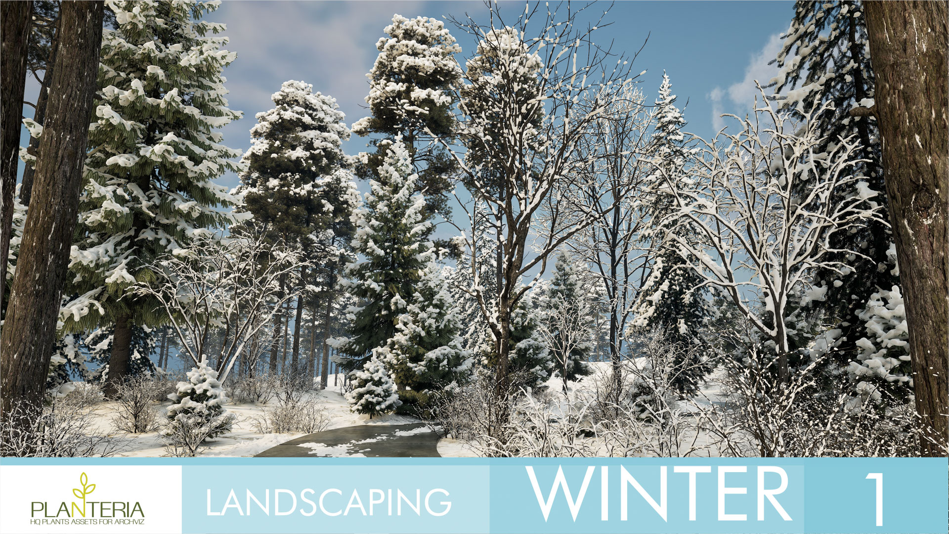 Landscaping Winter 1