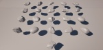 25 Unremarkable Stones - Snapshot