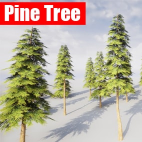 A set of the beautiful optimized pine tree models in fbx format with realistic and high quality textures