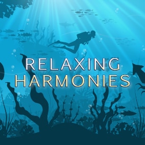 5 long and seamlessly looping pieces of a conceptual modular synthesis project which serve the purpose of feeling calm and relaxed or focused in a timeless state of mind.