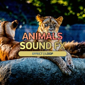 High-quality animals, monster sound effect! Enjoy!